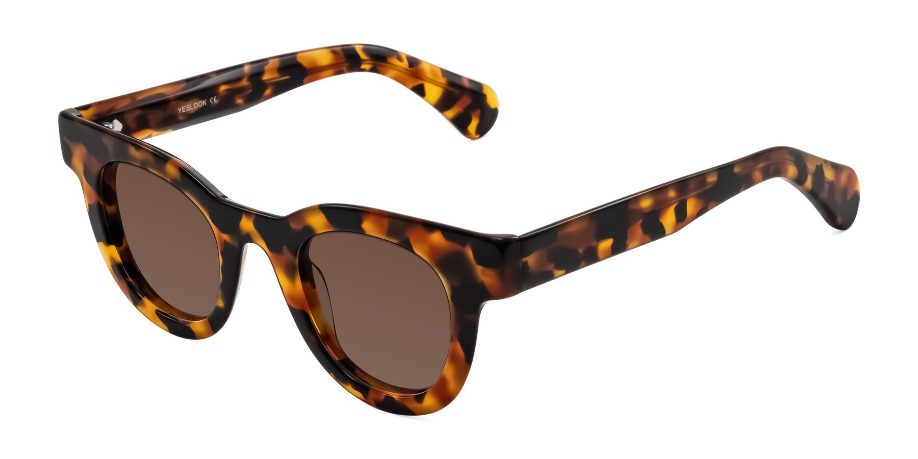 Angle of Embracing in Tortoise with Brown Tinted Lenses