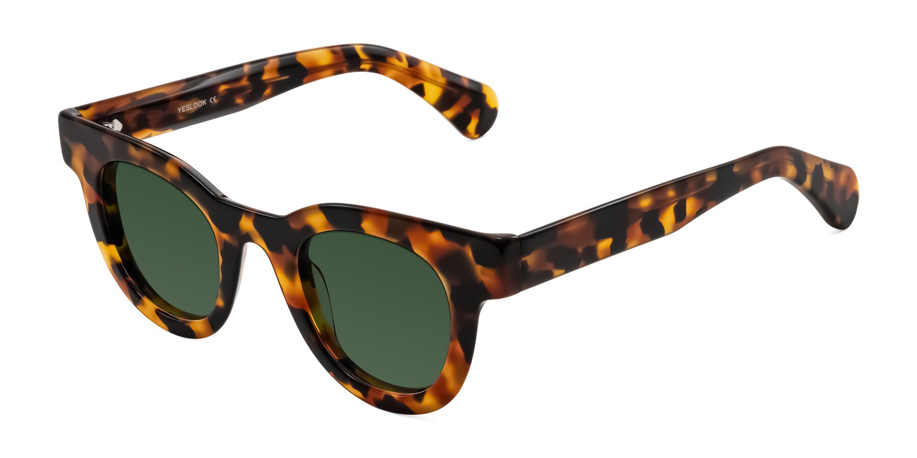 Angle of Embracing in Tortoise with Green Tinted Lenses