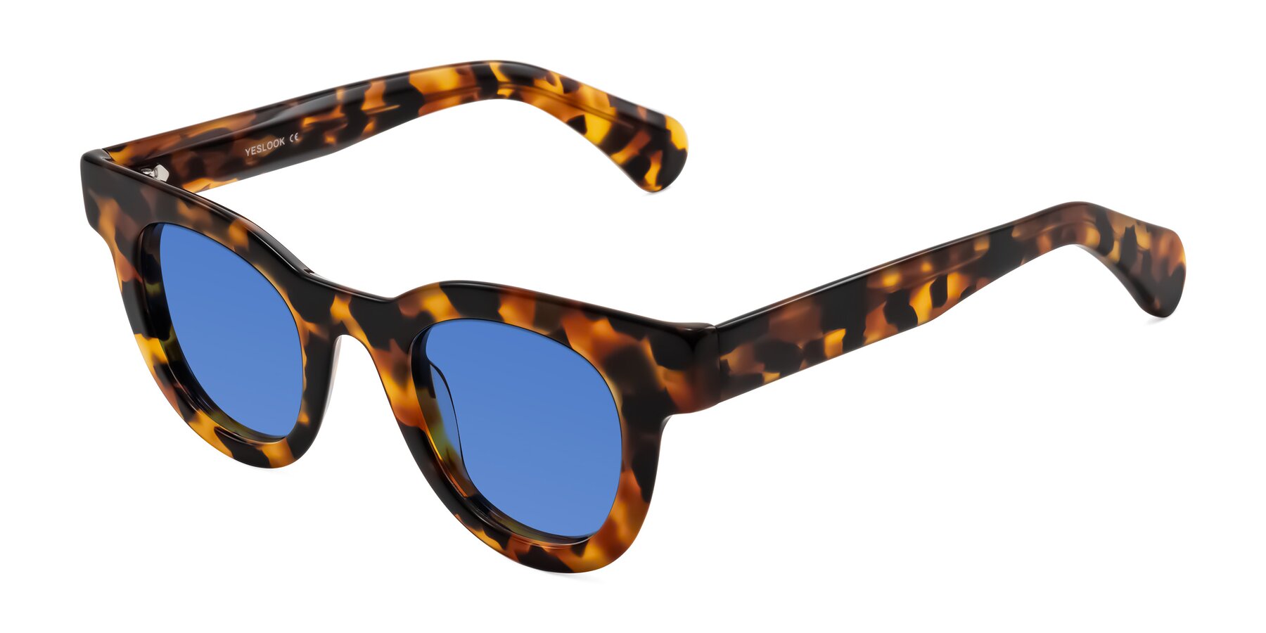 Angle of Embracing in Tortoise with Blue Tinted Lenses