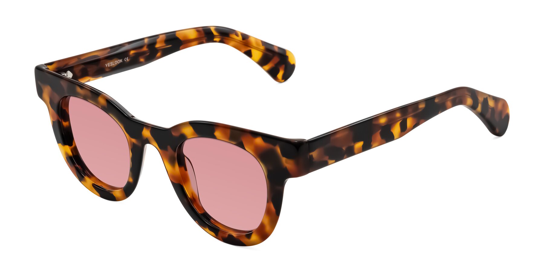 Angle of Embracing in Tortoise with Medium Garnet Tinted Lenses