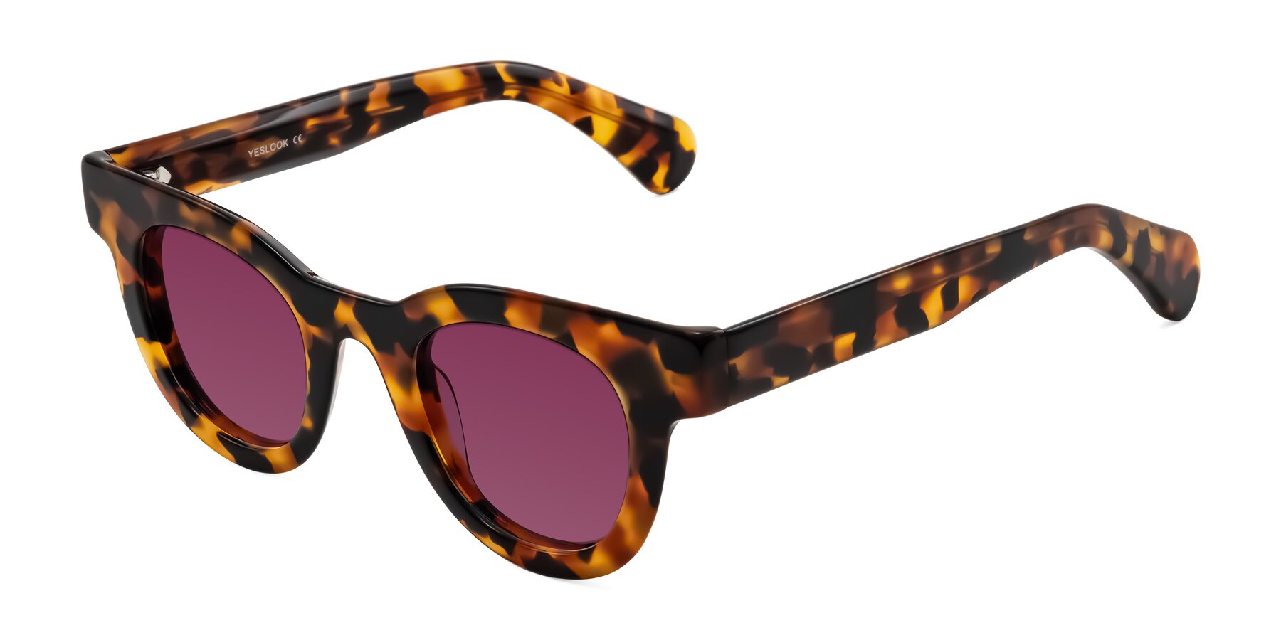 Angle of Embracing in Tortoise with Wine Tinted Lenses