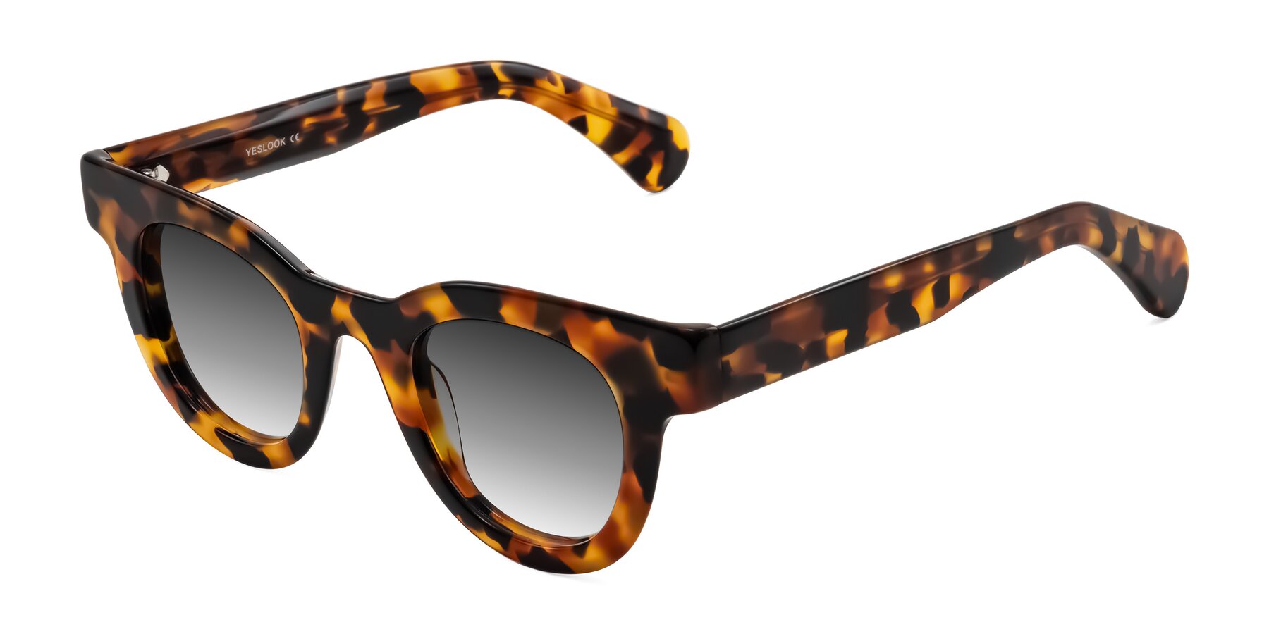 Angle of Embracing in Tortoise with Gray Gradient Lenses