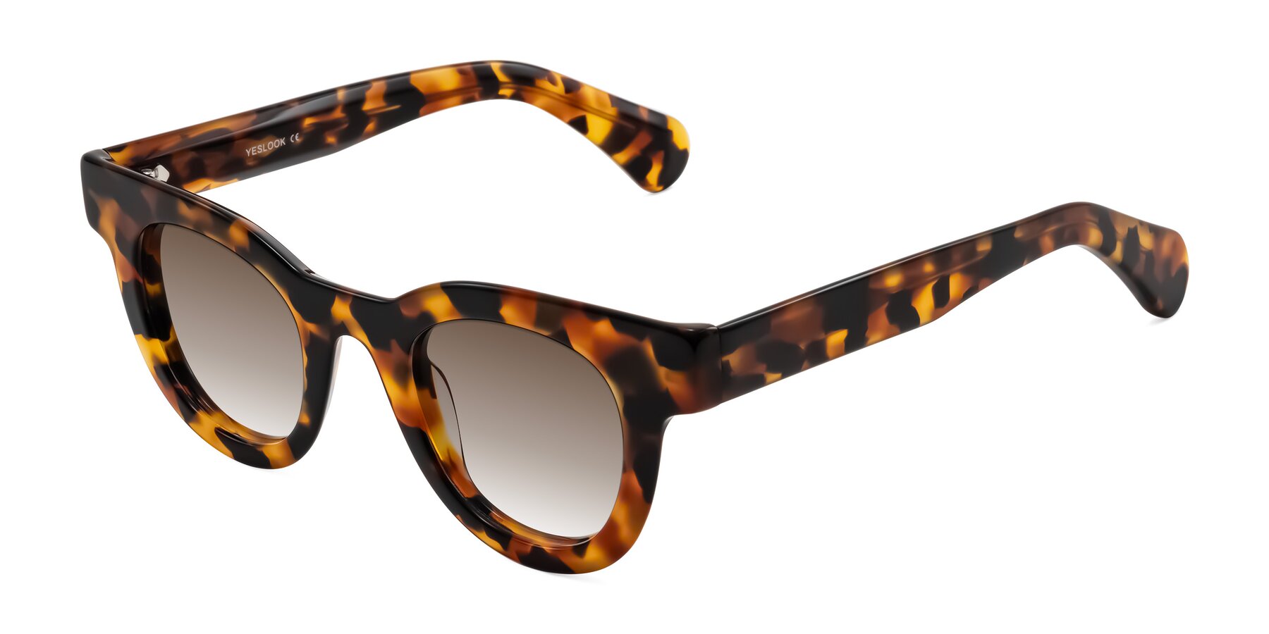Angle of Embracing in Tortoise with Brown Gradient Lenses