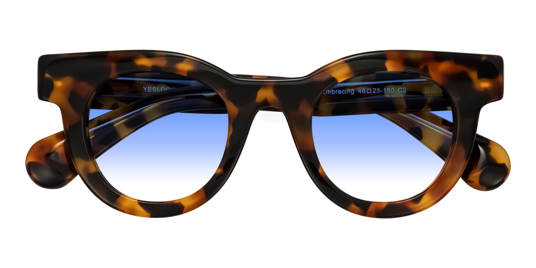 Folded Front of Embracing in Tortoise with Blue Gradient Lenses