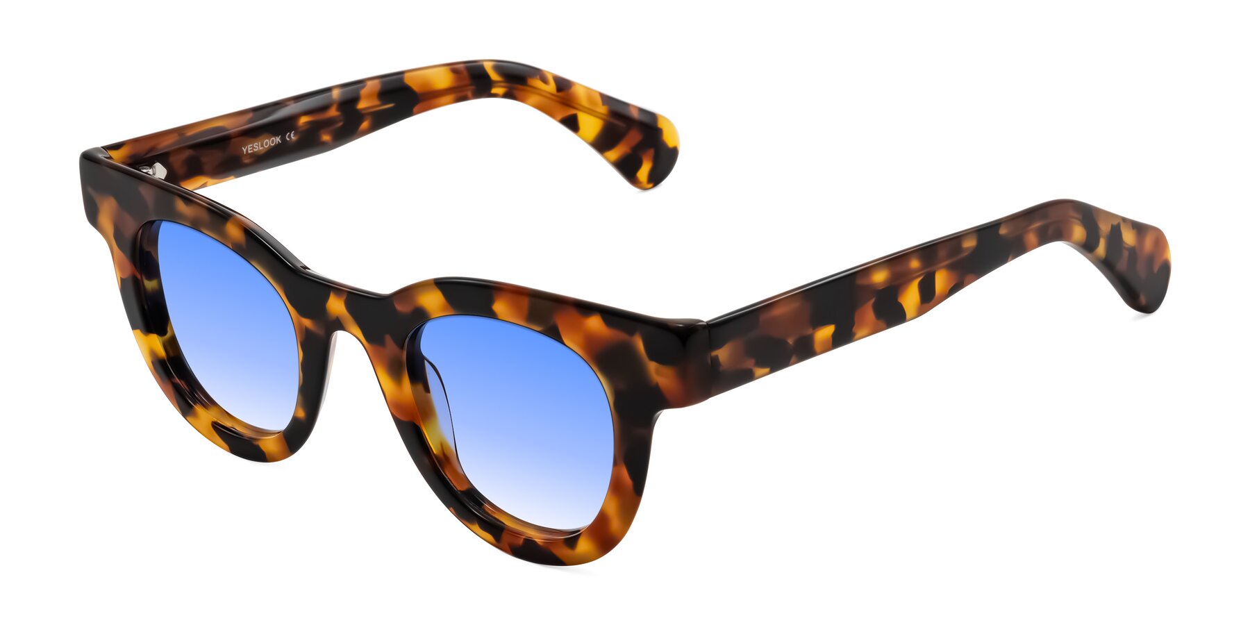 Angle of Embracing in Tortoise with Blue Gradient Lenses