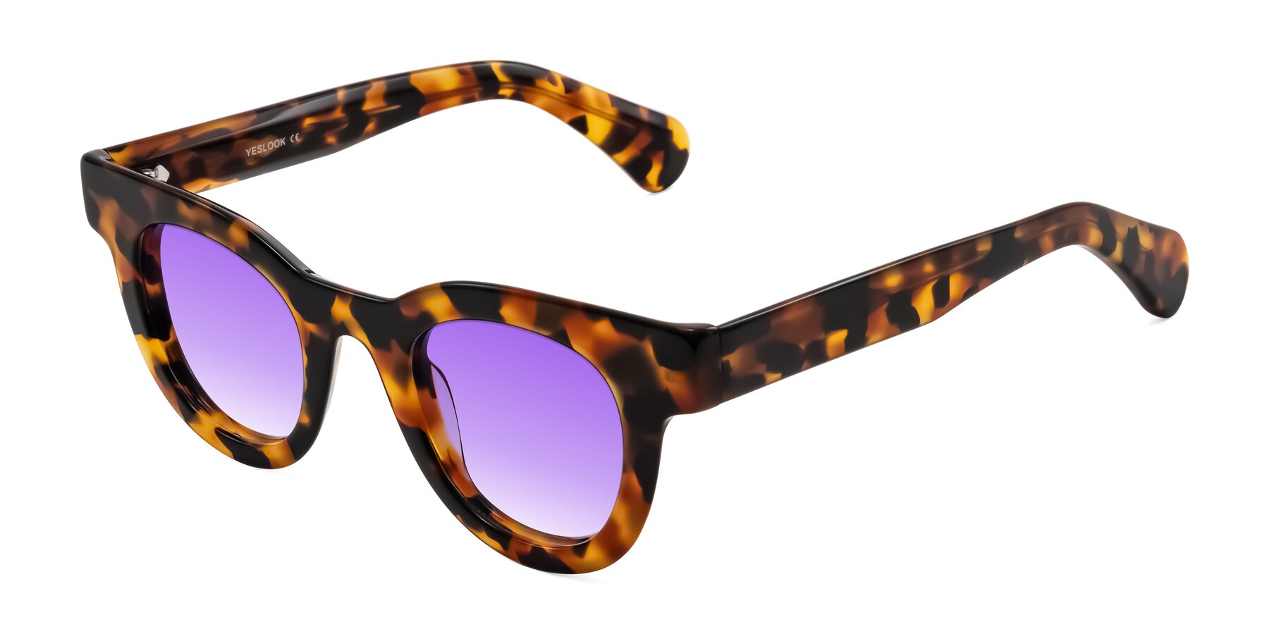 Angle of Embracing in Tortoise with Purple Gradient Lenses
