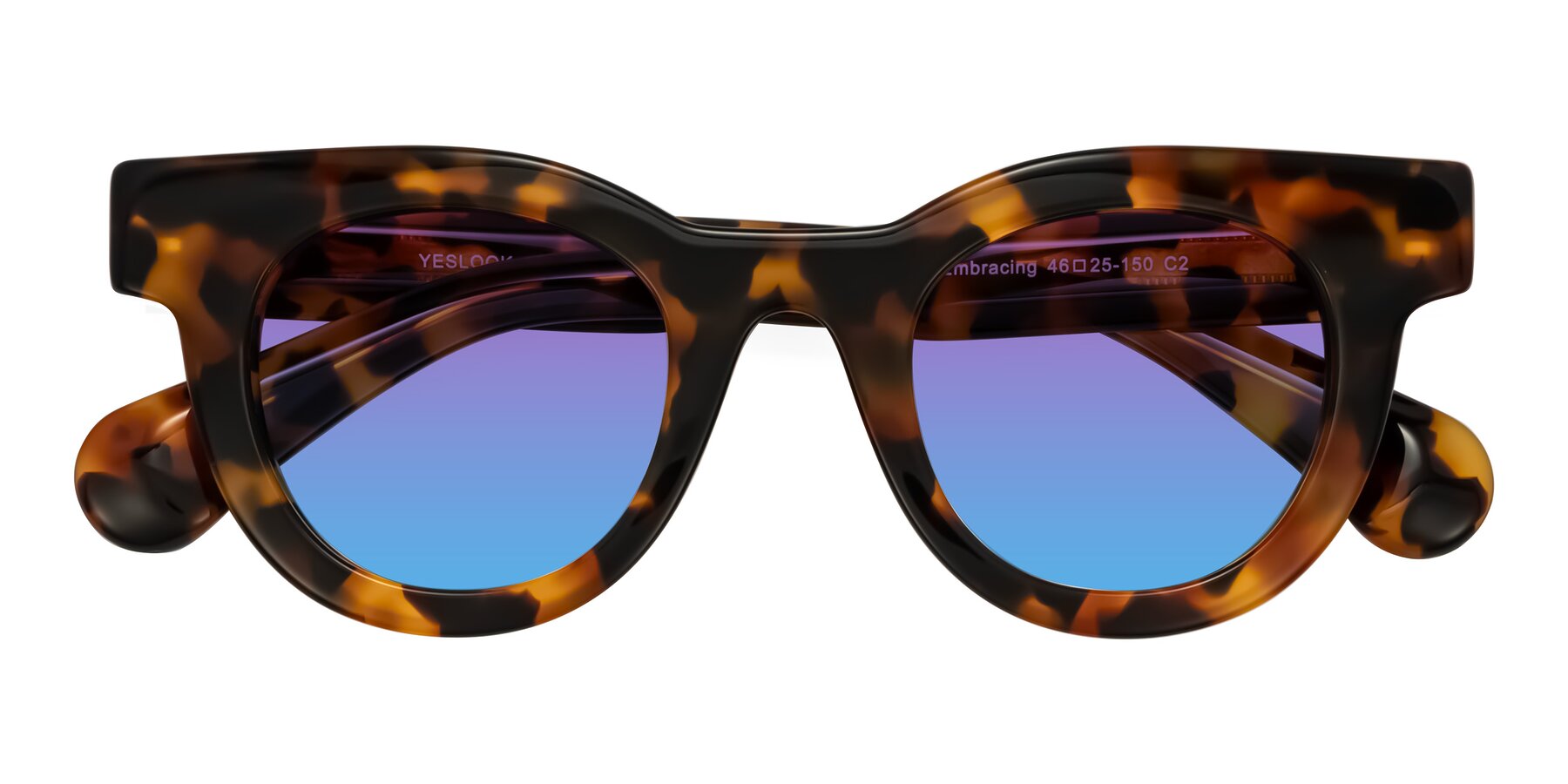 Folded Front of Embracing in Tortoise with Purple / Blue Gradient Lenses