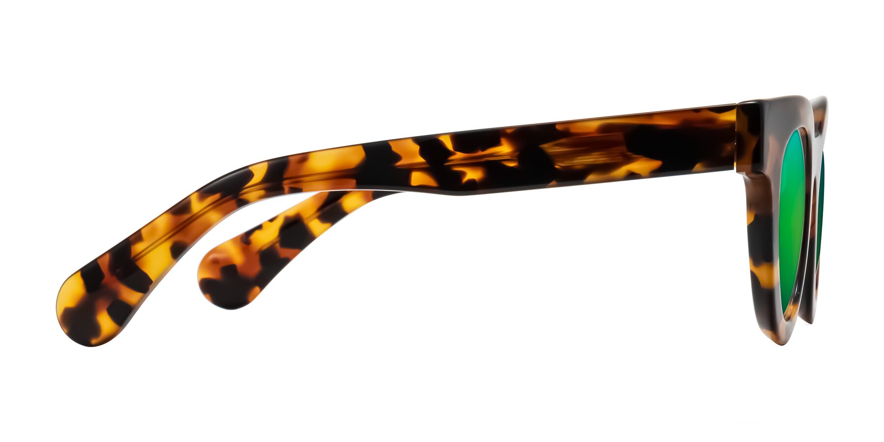 Side of Embracing in Tortoise with Green Mirrored Lenses