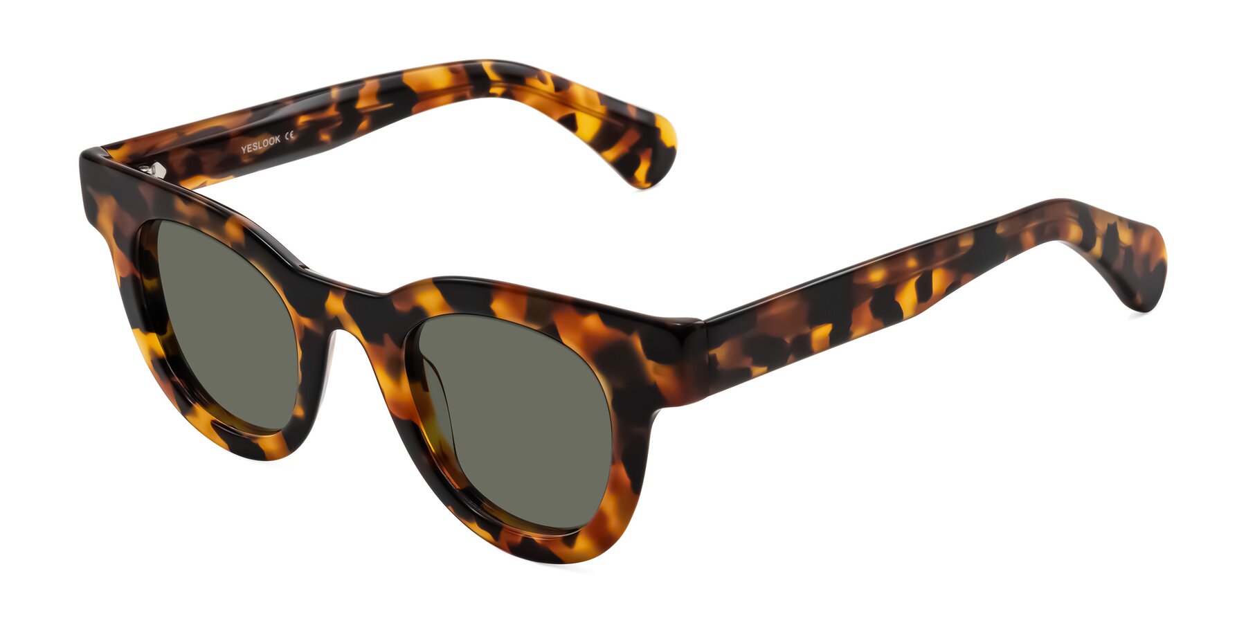 Angle of Embracing in Tortoise with Gray Polarized Lenses