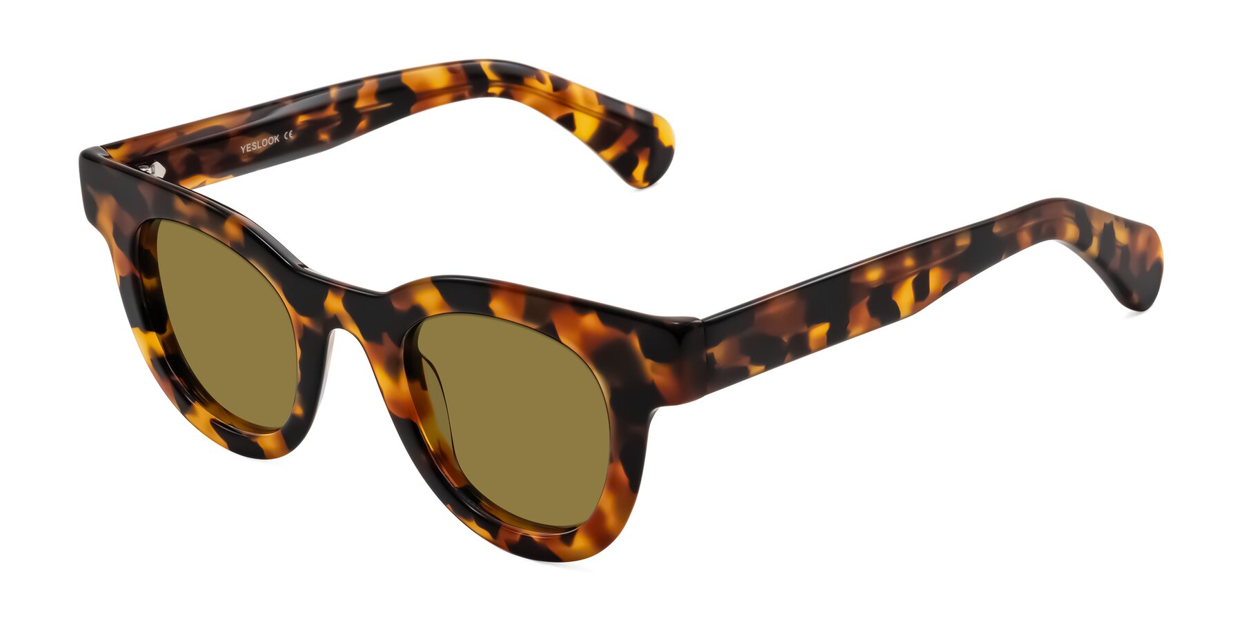 Angle of Embracing in Tortoise with Brown Polarized Lenses