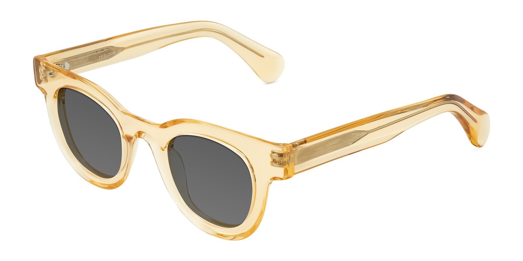 Angle of Embracing in Champagne with Medium Gray Tinted Lenses