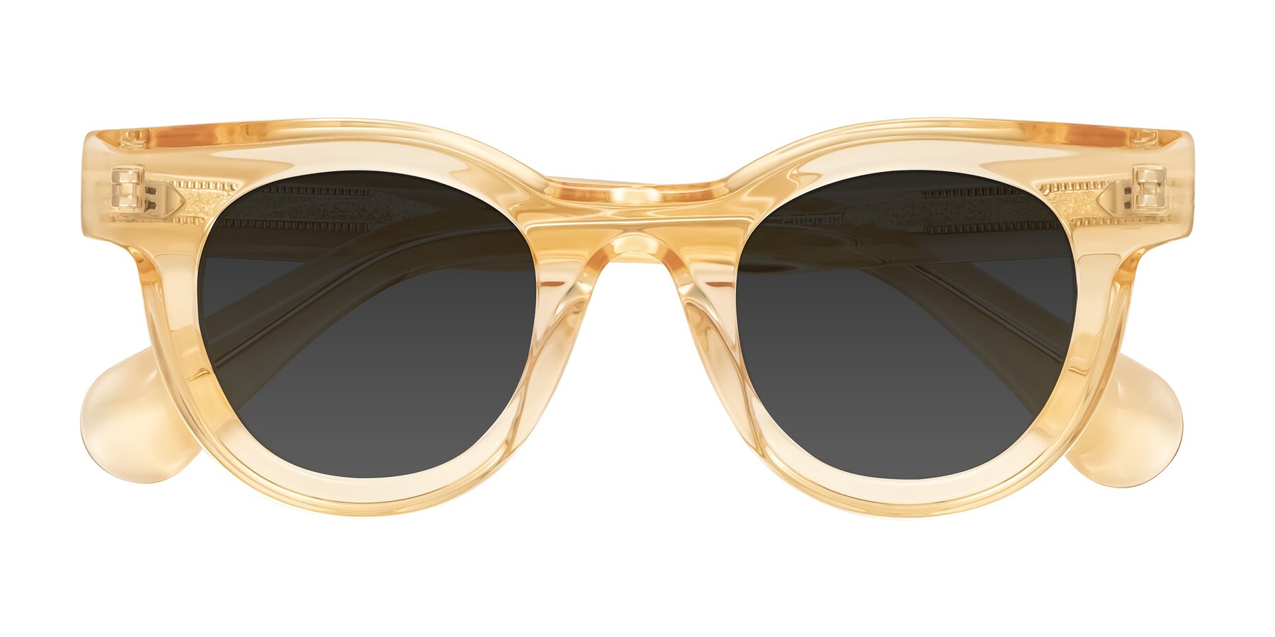 Folded Front of Embracing in Champagne with Gray Tinted Lenses
