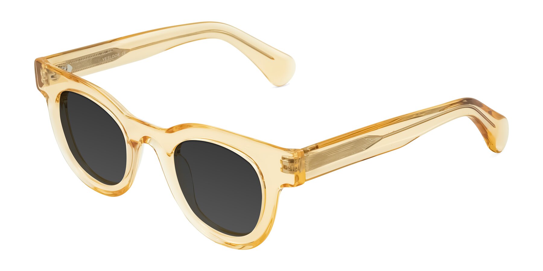 Angle of Embracing in Champagne with Gray Tinted Lenses
