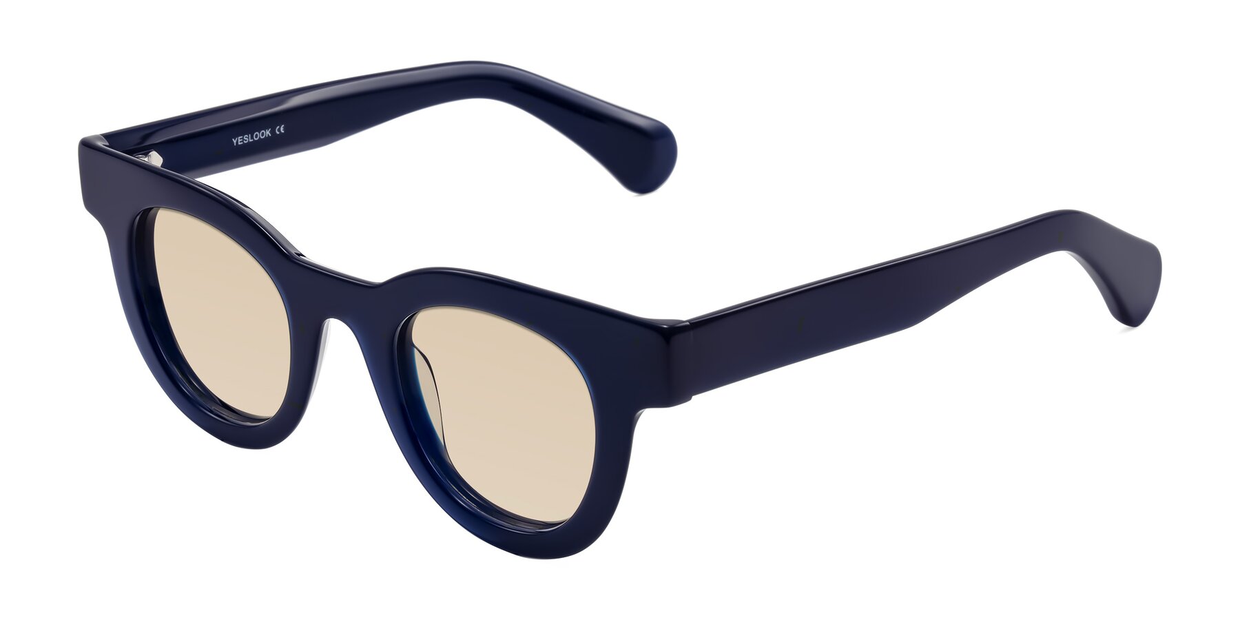 Angle of Embracing in Dark Navy with Light Brown Tinted Lenses
