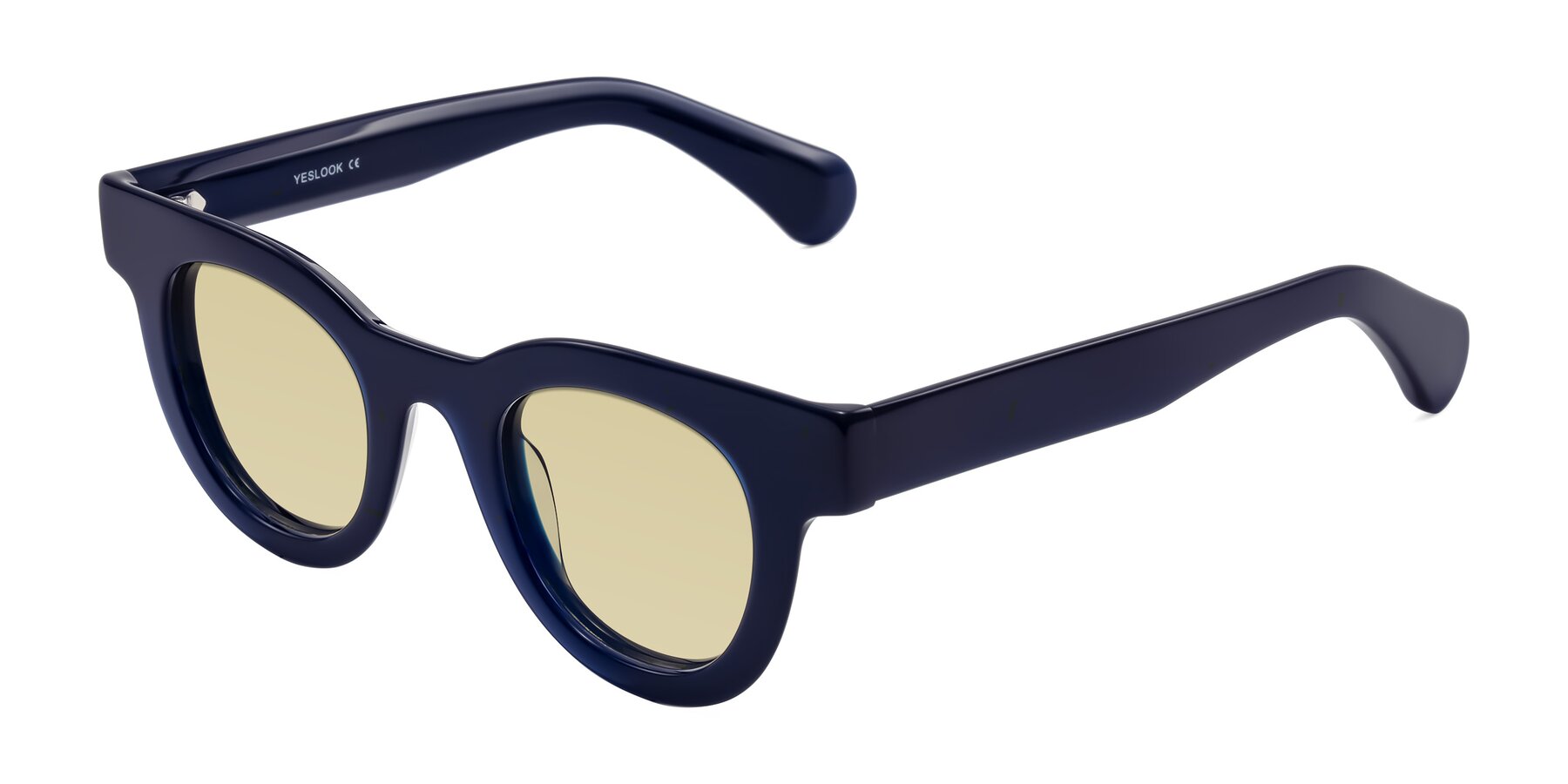 Angle of Embracing in Dark Navy with Light Champagne Tinted Lenses
