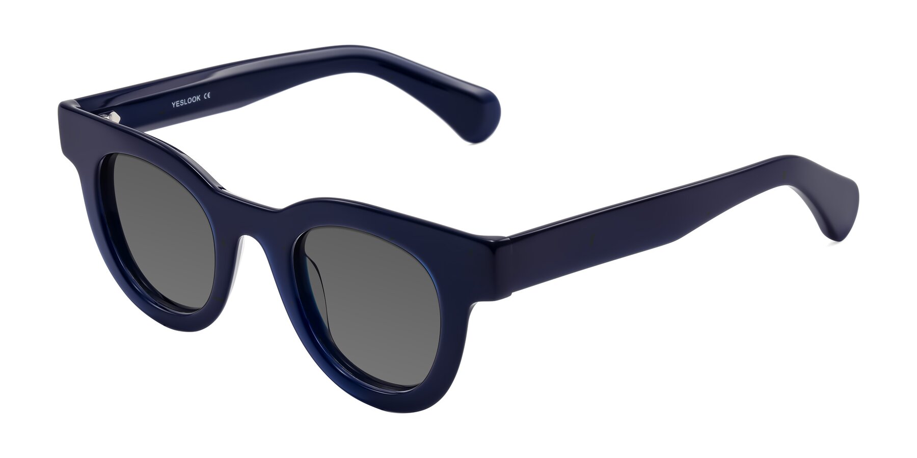 Angle of Embracing in Dark Navy with Medium Gray Tinted Lenses