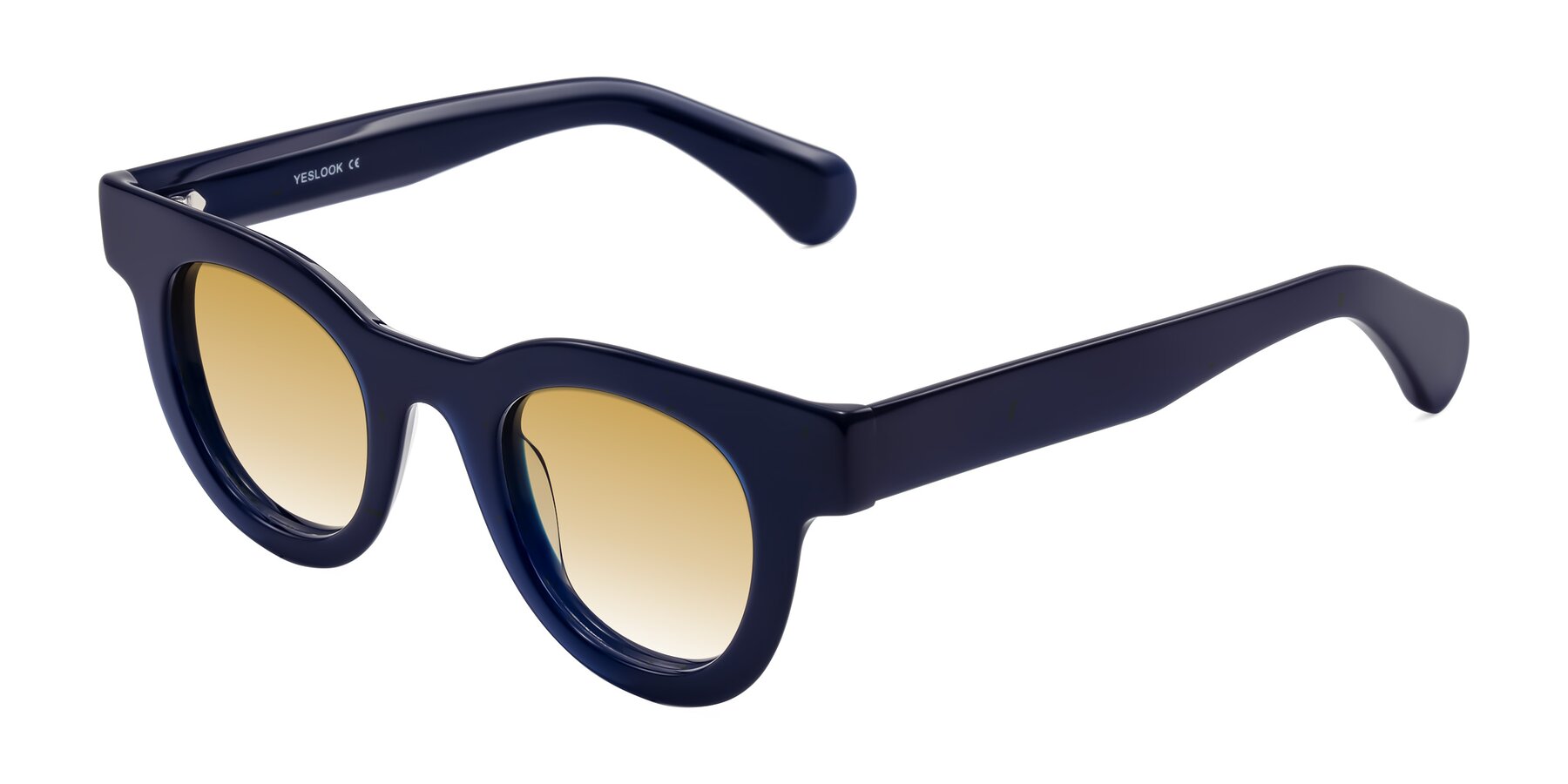 Angle of Embracing in Dark Navy with Champagne Gradient Lenses
