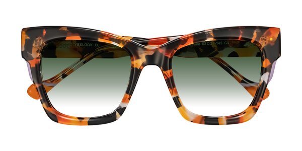 Front of Yatole in Orange Tortoise