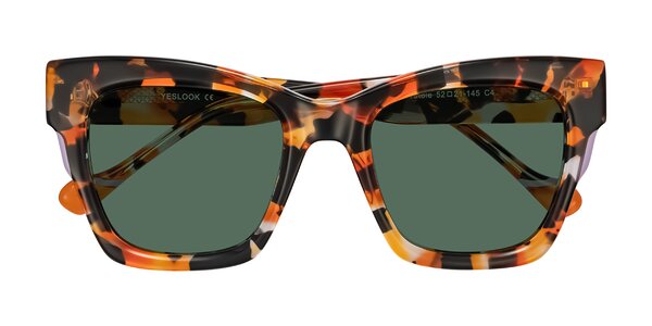 Front of Yatole in Orange Tortoise