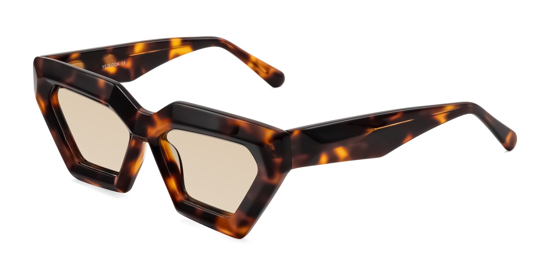 Angle of Giptoo in Tortoise with Light Brown Tinted Lenses