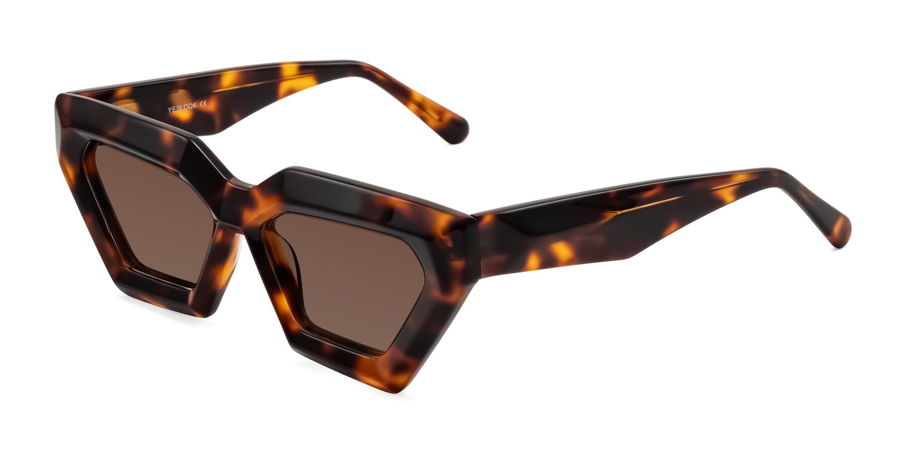 Angle of Giptoo in Tortoise with Brown Tinted Lenses
