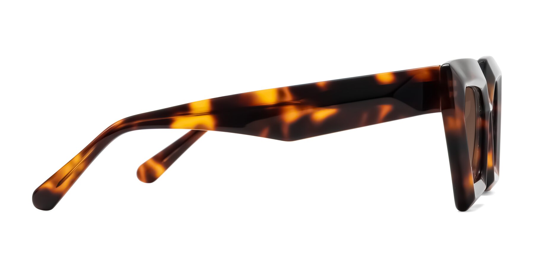 Side of Giptoo in Tortoise with Brown Tinted Lenses