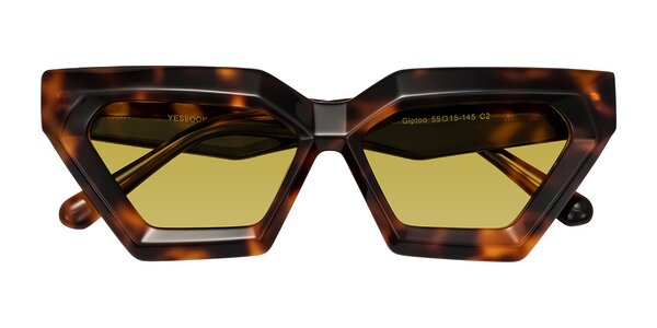 Front of Giptoo in Tortoise