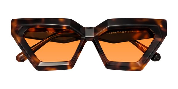 Front of Giptoo in Tortoise