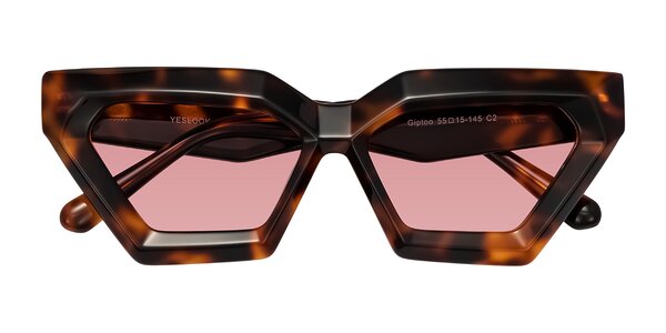 Front of Giptoo in Tortoise