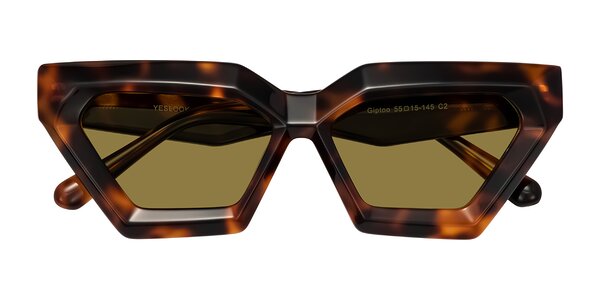 Front of Giptoo in Tortoise