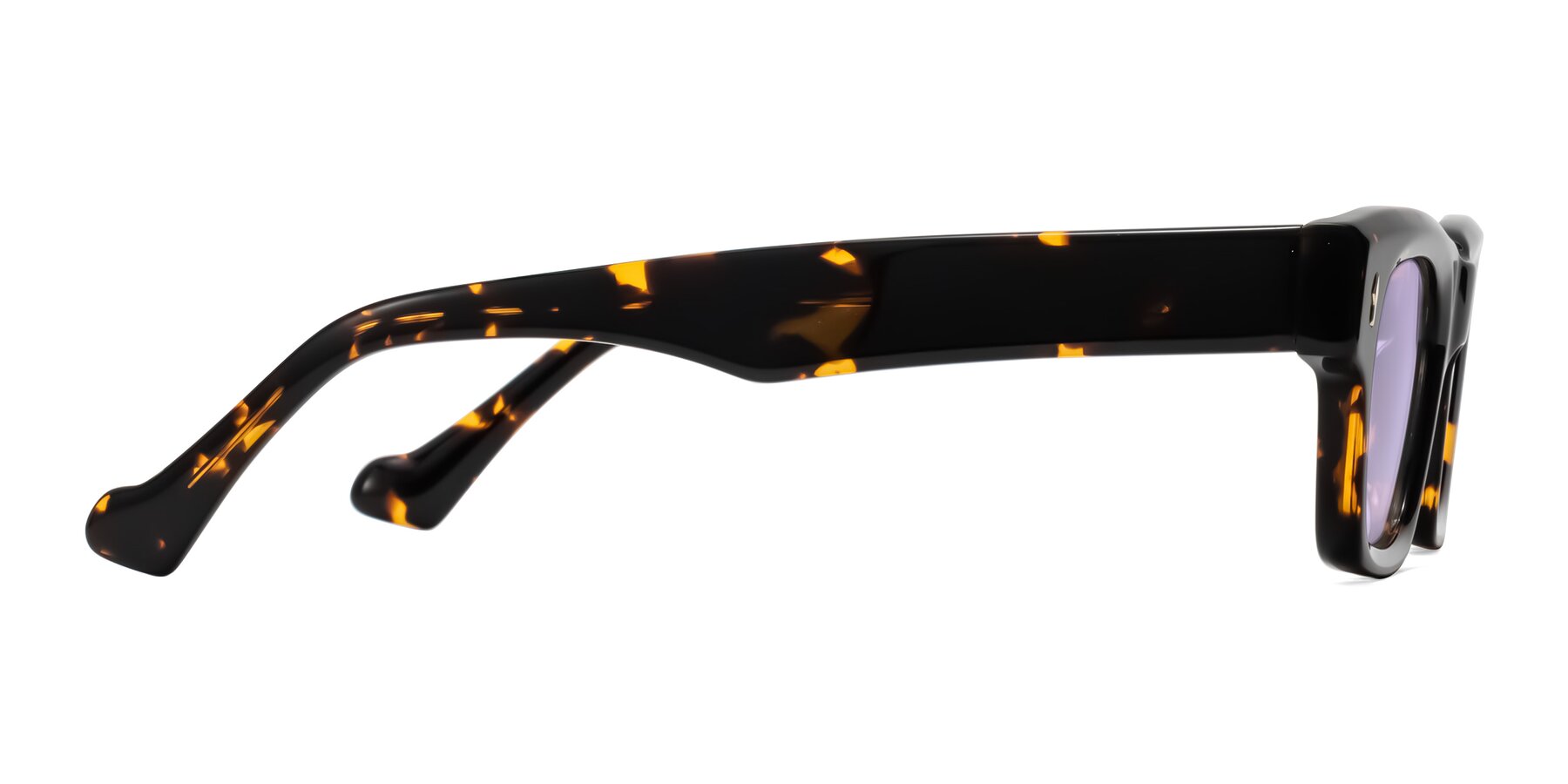 Side of Xallon in Tortoise with Light Purple Tinted Lenses