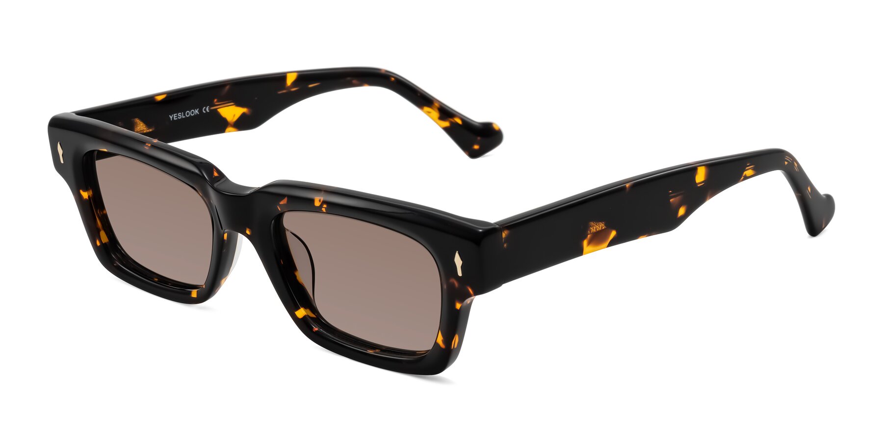 Angle of Xallon in Tortoise with Medium Brown Tinted Lenses
