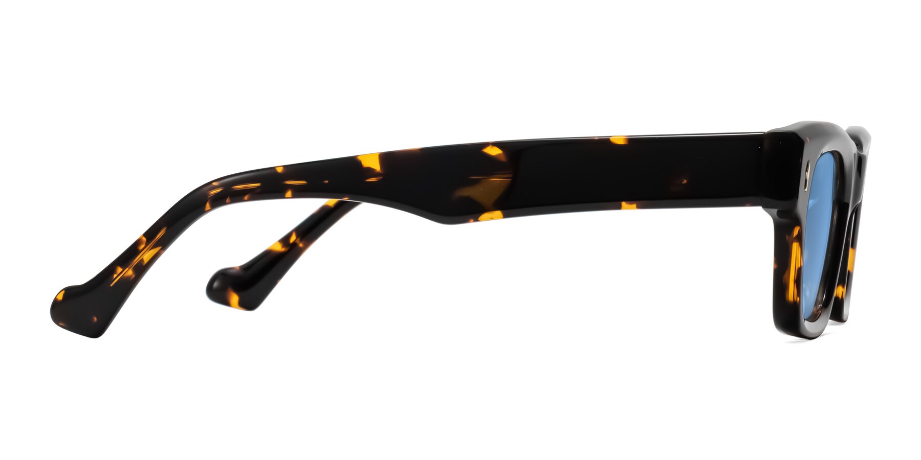 Side of Xallon in Tortoise with Medium Blue Tinted Lenses