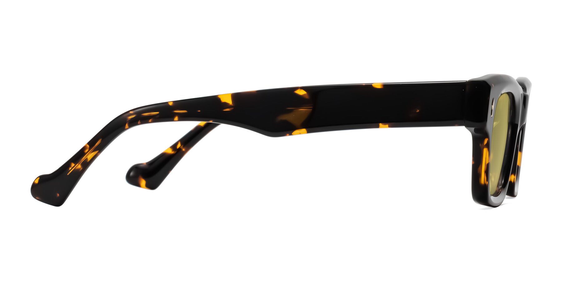 Side of Xallon in Tortoise with Medium Champagne Tinted Lenses