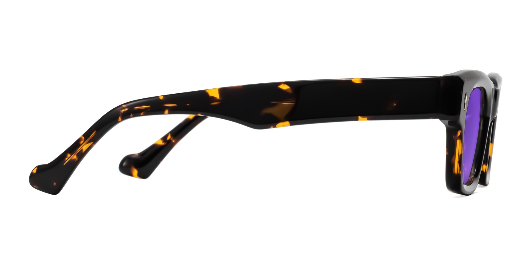 Side of Xallon in Tortoise with Purple Tinted Lenses