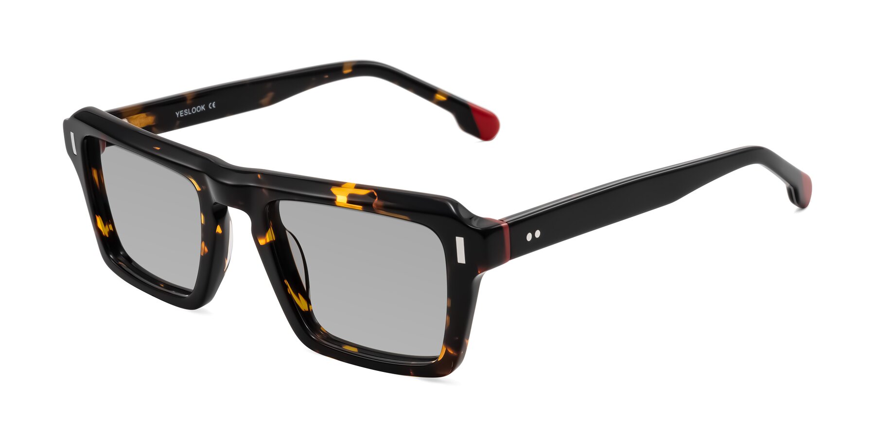 Angle of Sloan in Tortoise with Light Gray Tinted Lenses