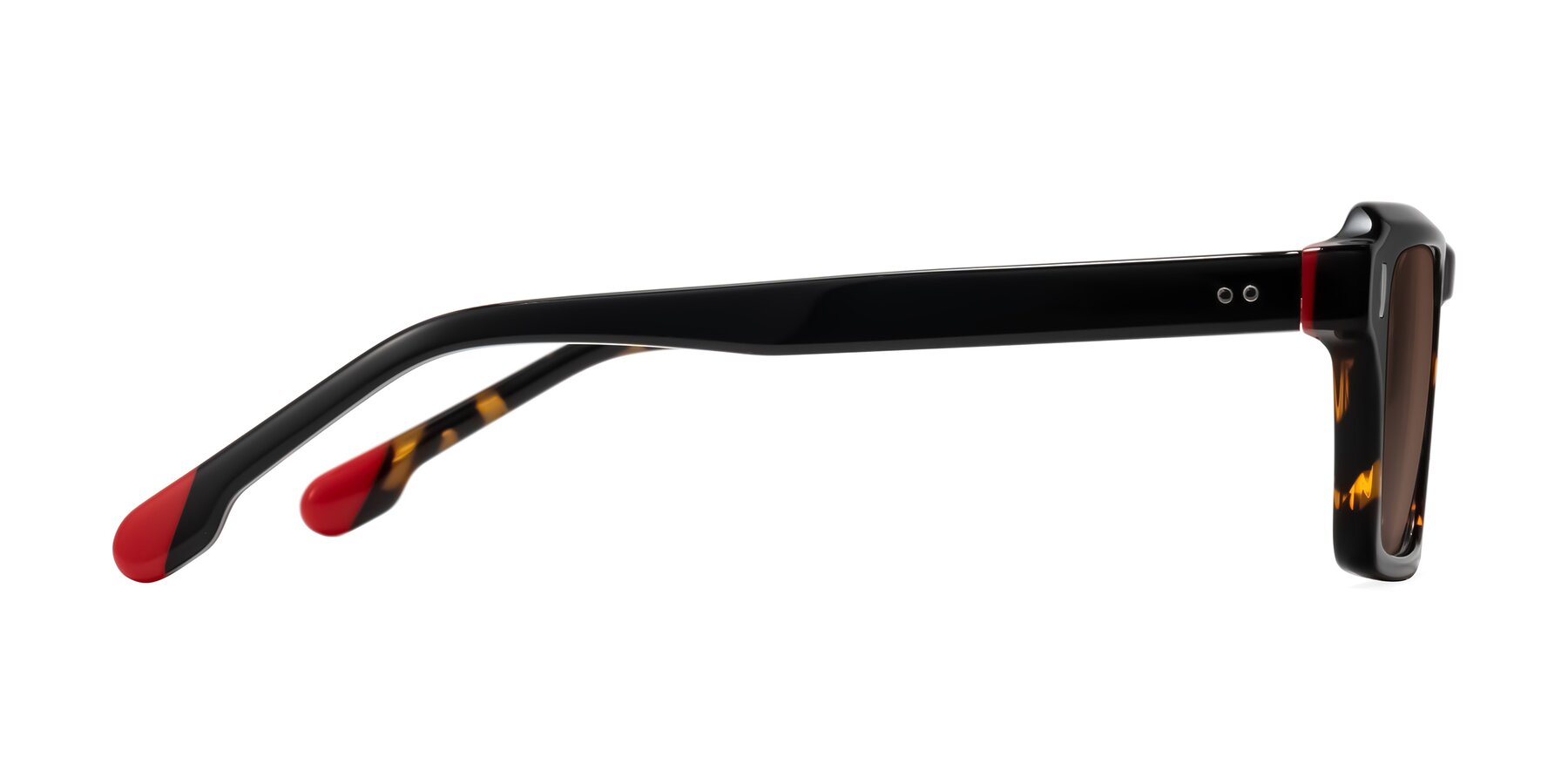 Side of Sloan in Tortoise with Brown Tinted Lenses