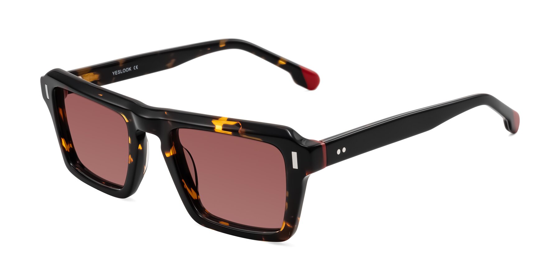 Angle of Sloan in Tortoise with Garnet Tinted Lenses