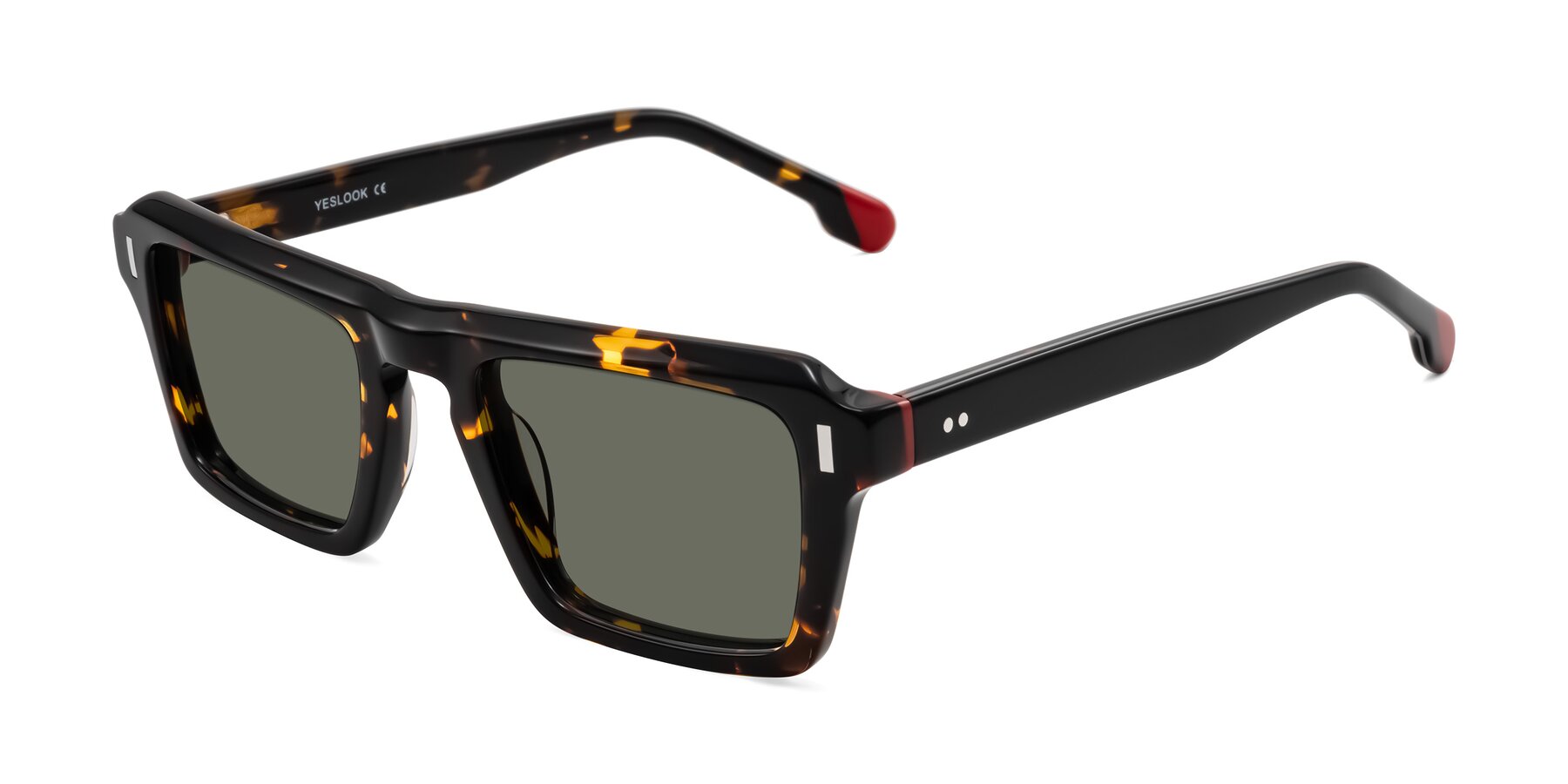 Angle of Sloan in Tortoise with Gray Polarized Lenses