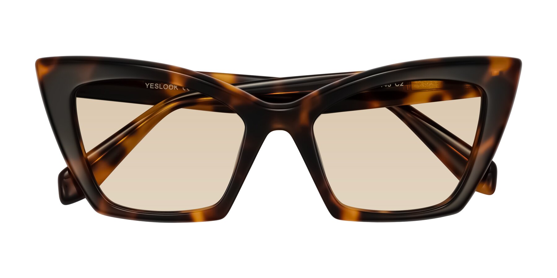 Folded Front of Wayar in Tortoise with Light Brown Tinted Lenses