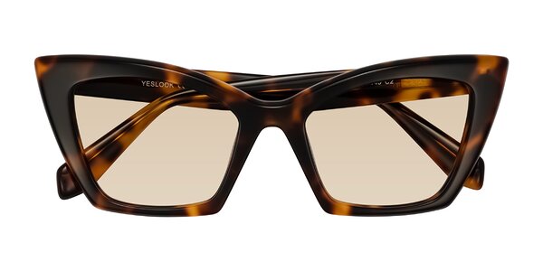 Front of Wayar in Tortoise