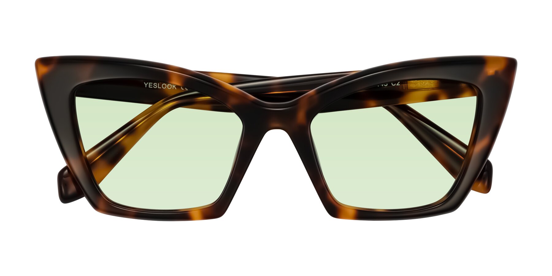 Folded Front of Wayar in Tortoise with Light Green Tinted Lenses