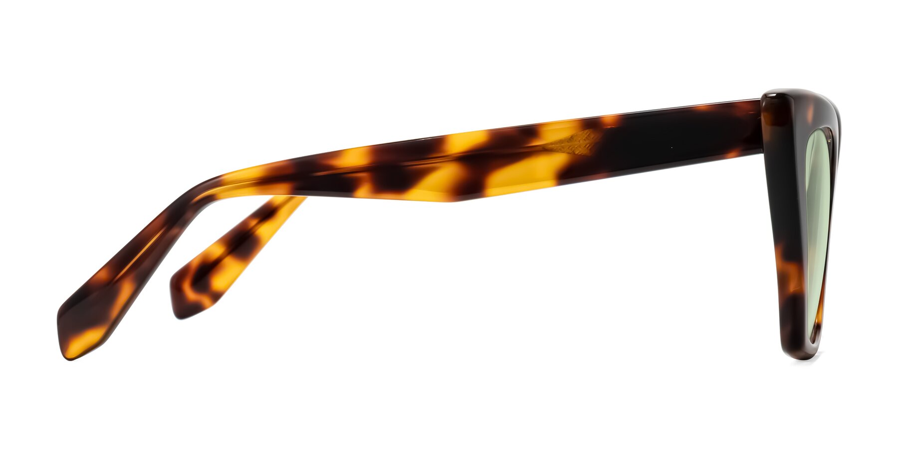 Side of Wayar in Tortoise with Light Green Tinted Lenses