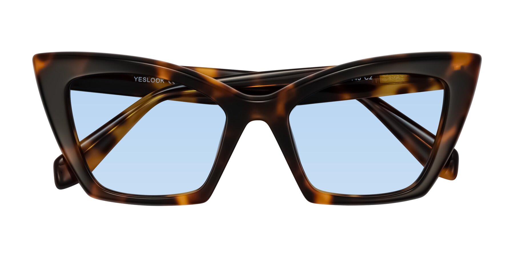 Folded Front of Wayar in Tortoise with Light Blue Tinted Lenses