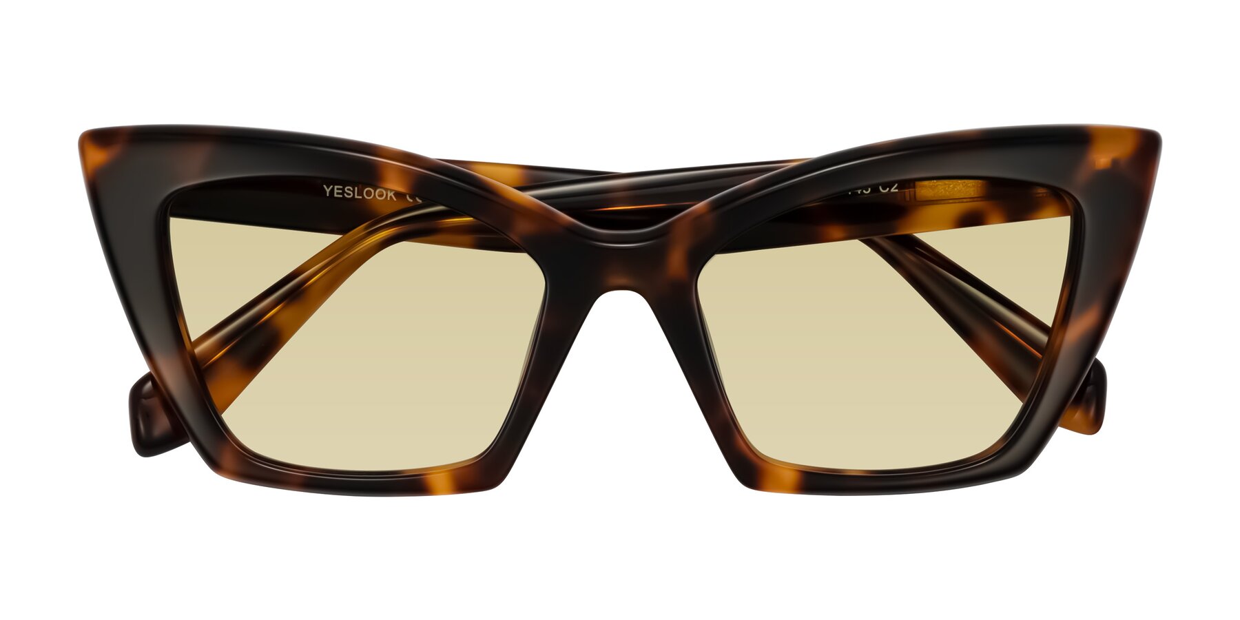 Folded Front of Wayar in Tortoise with Light Champagne Tinted Lenses