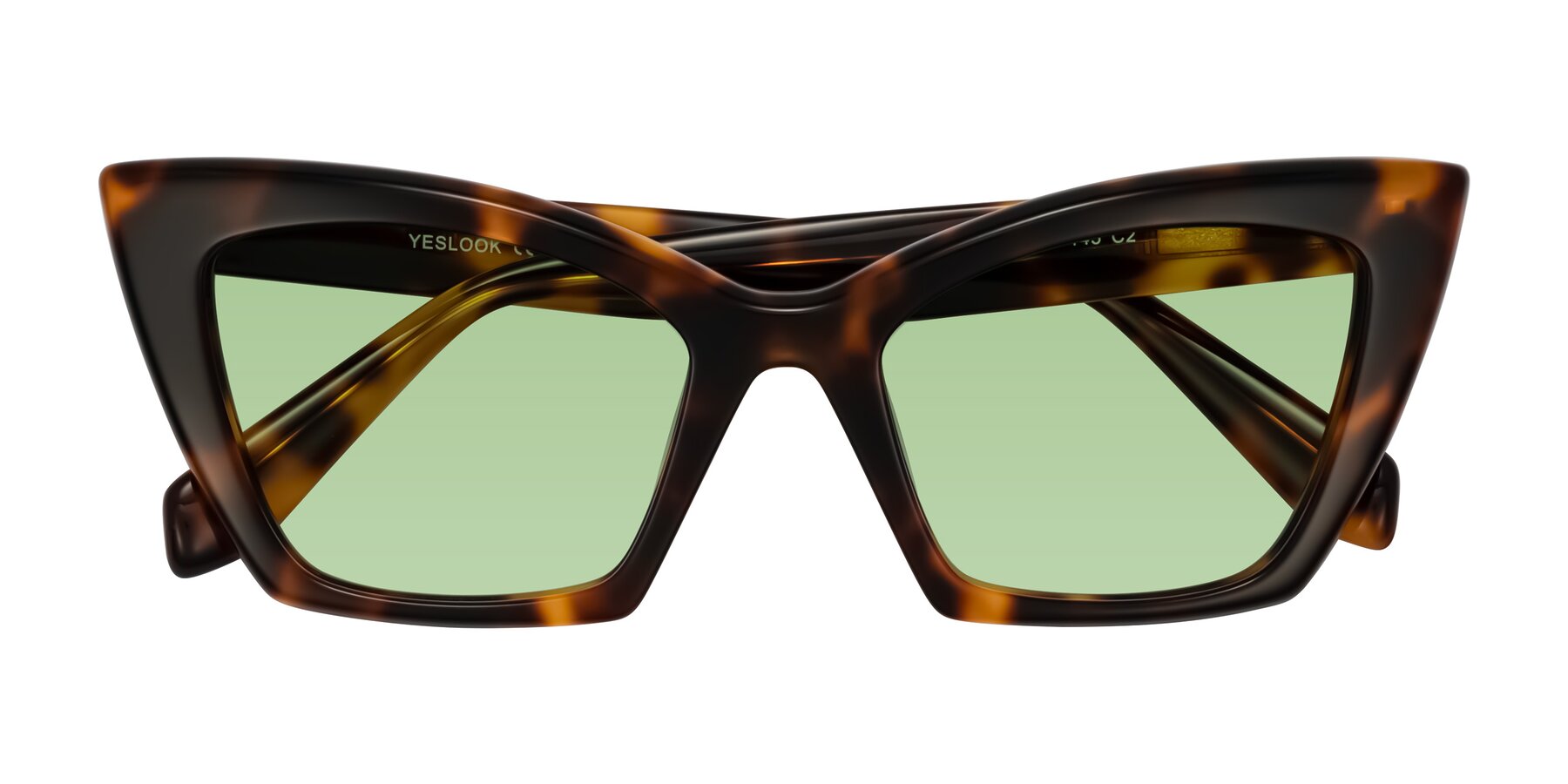 Folded Front of Wayar in Tortoise with Medium Green Tinted Lenses