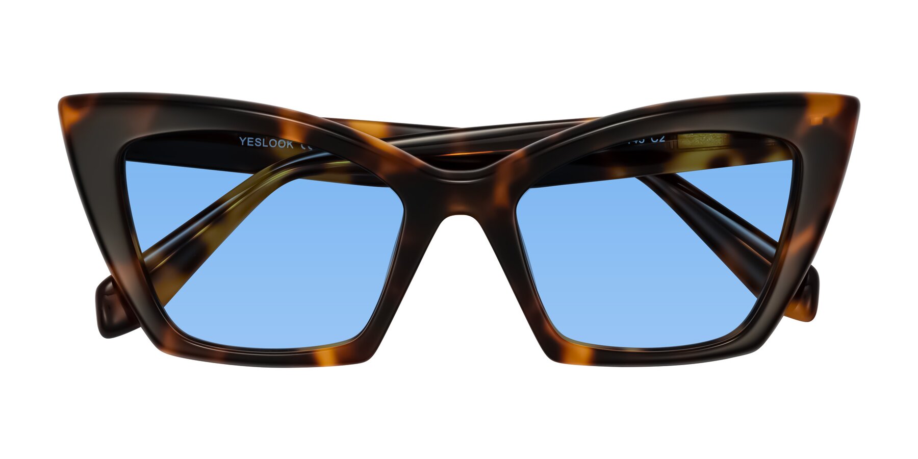 Folded Front of Wayar in Tortoise with Medium Blue Tinted Lenses