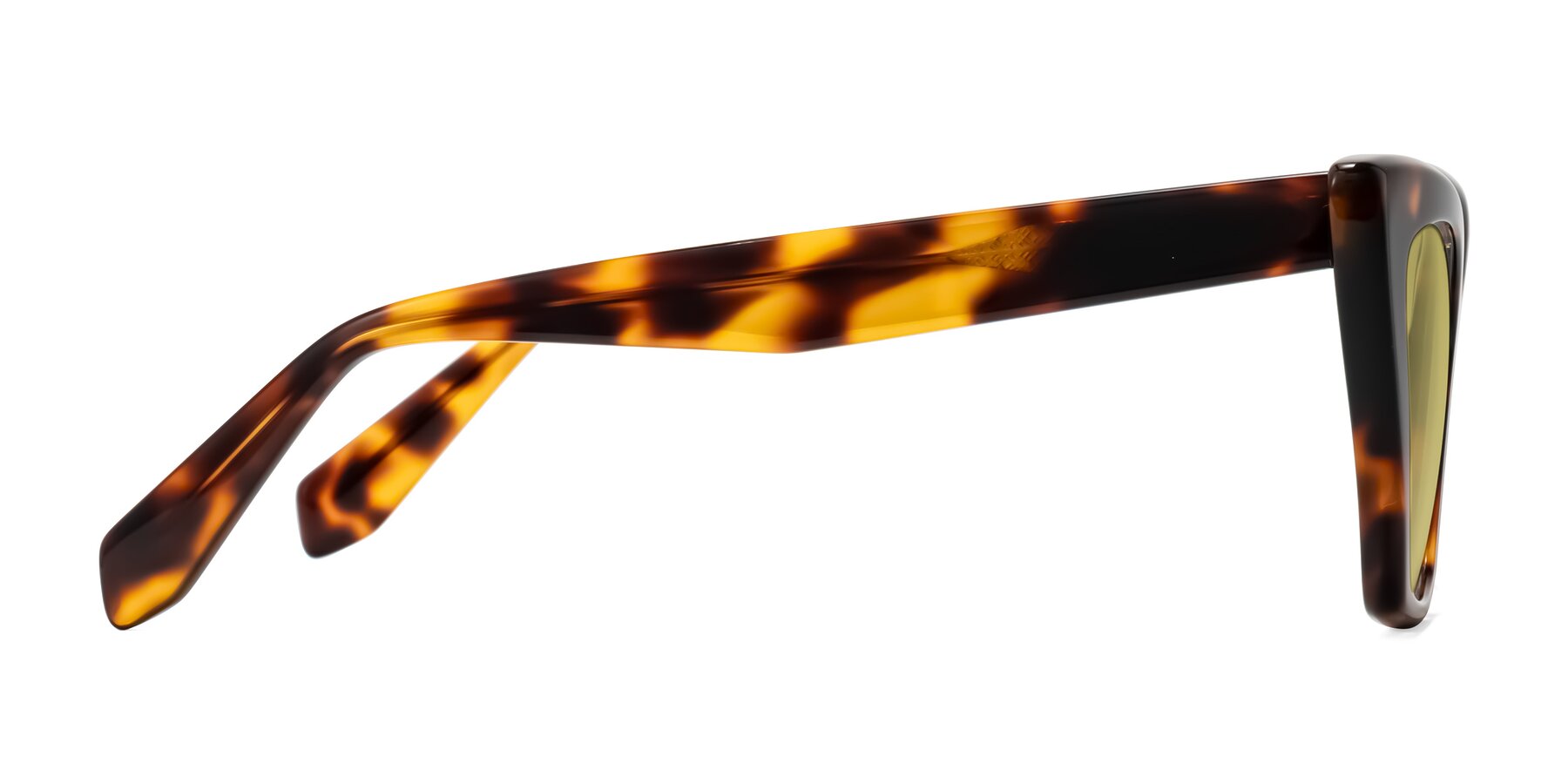 Side of Wayar in Tortoise with Medium Champagne Tinted Lenses