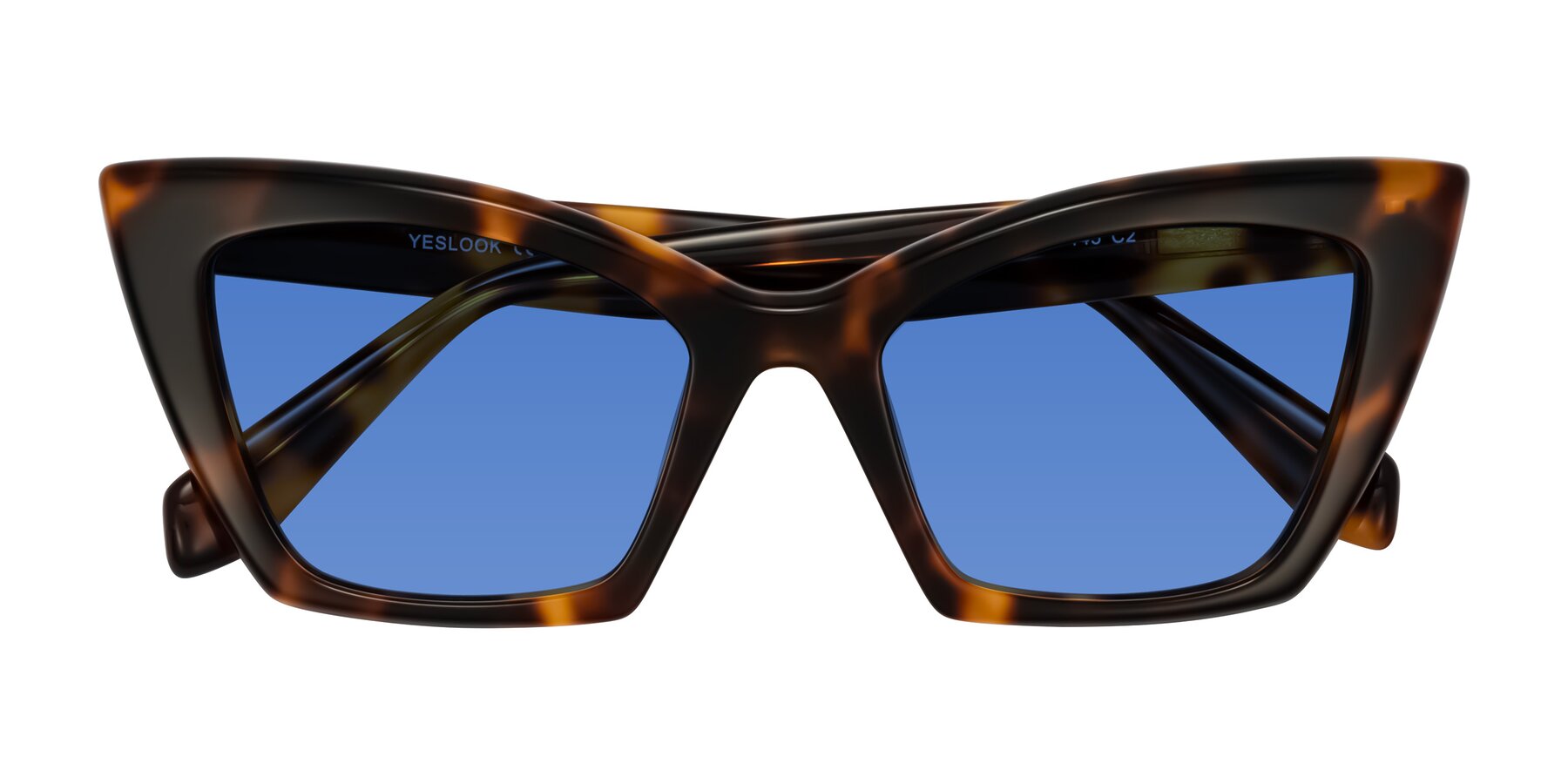 Folded Front of Wayar in Tortoise with Blue Tinted Lenses