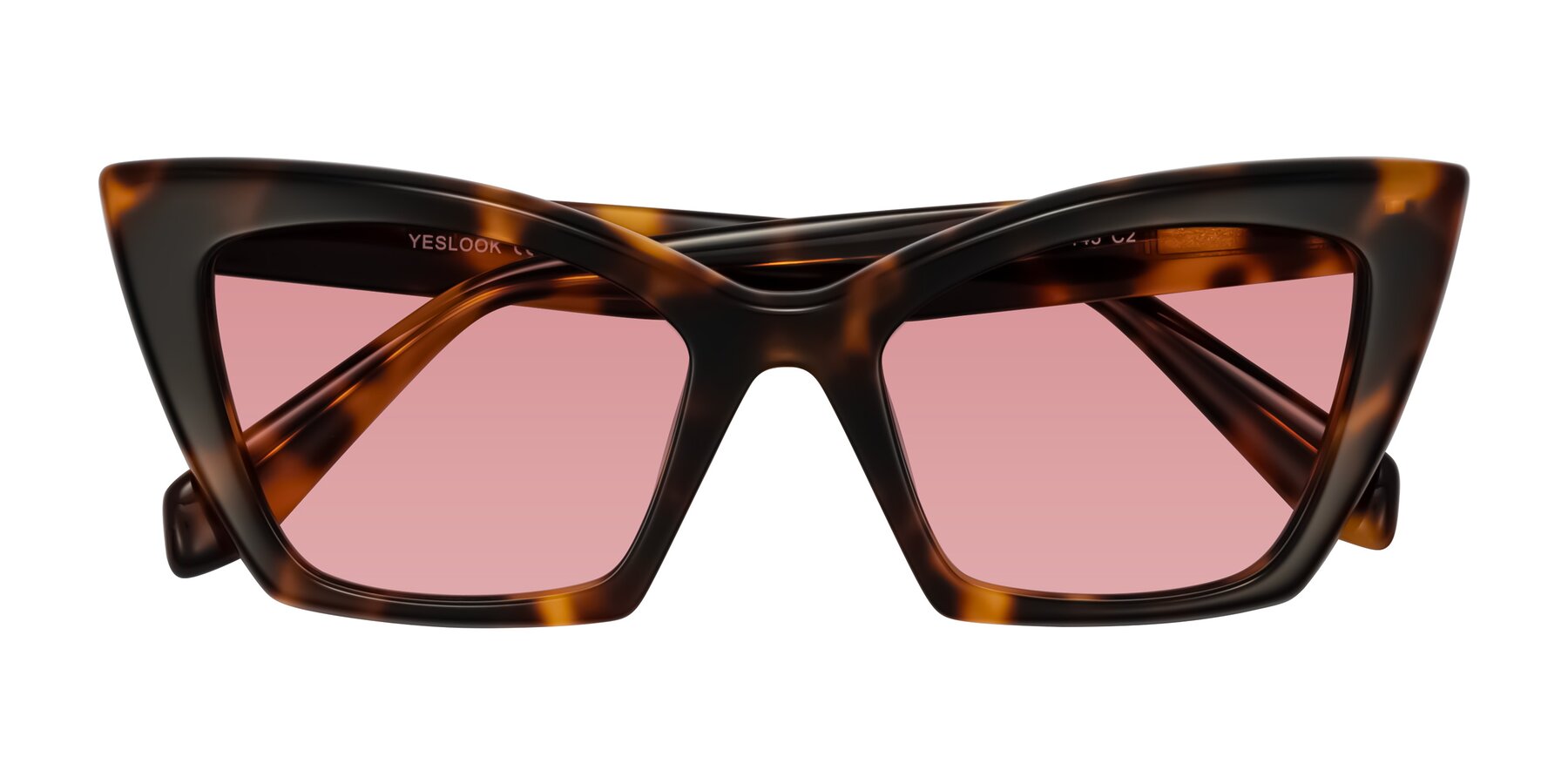 Folded Front of Wayar in Tortoise with Medium Garnet Tinted Lenses